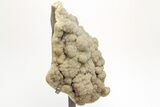 Sparkling Green Druzy Quartz Formation on Metal Stand #209024-2